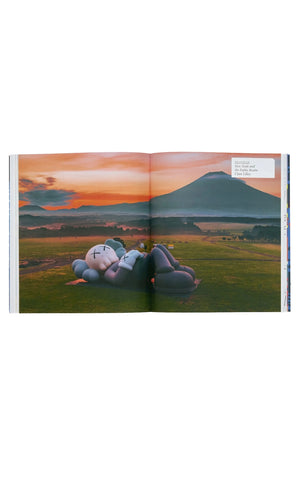 
                  
                    Load image into Gallery viewer, Brand New KAWS Phaidon Uniqlo Book
                  
                