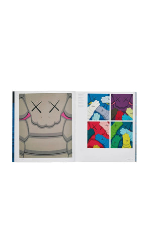 
                  
                    Load image into Gallery viewer, Brand New KAWS Phaidon Uniqlo Book
                  
                