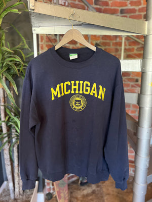 
                  
                    Load image into Gallery viewer, Vintage Michigan State College Crewneck Sz L
                  
                