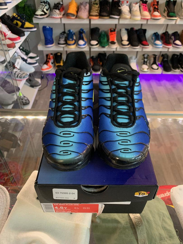 
                  
                    Load image into Gallery viewer, Nike Air Max Plus Hyper Blue GS 4.5Y
                  
                